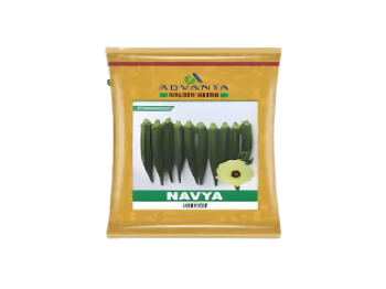 ADVANTA NAVYA OKRA