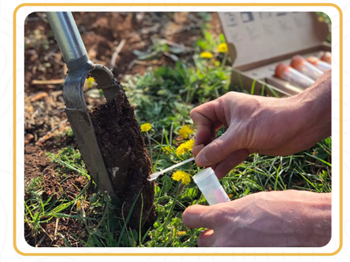 Soil Testing