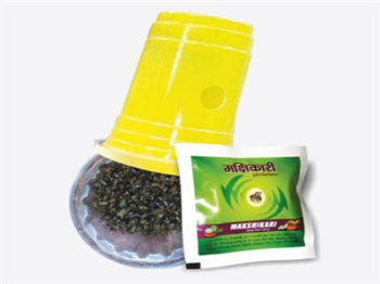 MAKSHIKARI (LURE+YELLOW GLASS)