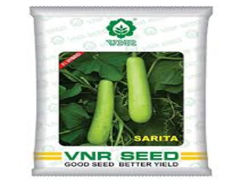 VNR SARITA BOTTLE GOURD