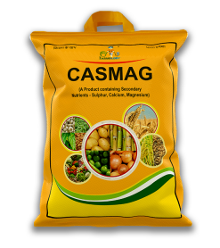 CASMAG