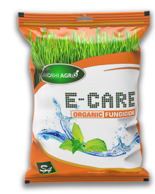 E‐CARE