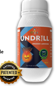 UNDRILL