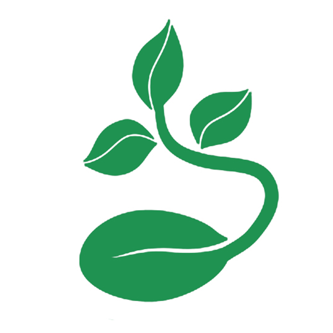 Seed